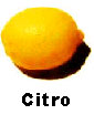 citro z